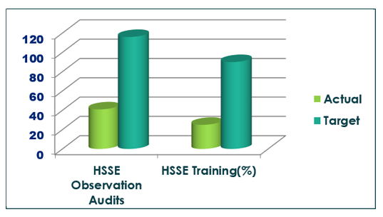 HSE2.jpg
